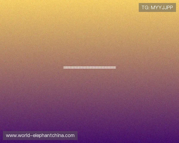 西班牙官方对沙特合法渠道说明：确保世界杯转播权益与合作渠道的合法合规性